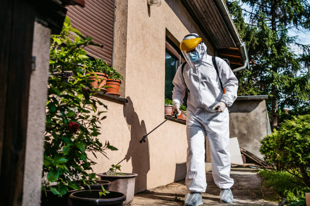 Best Pest Inspection Near Me  in Tower Lakes, IL