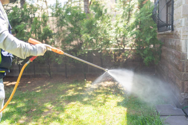 Pest Prevention Services in Tower Lakes, IL