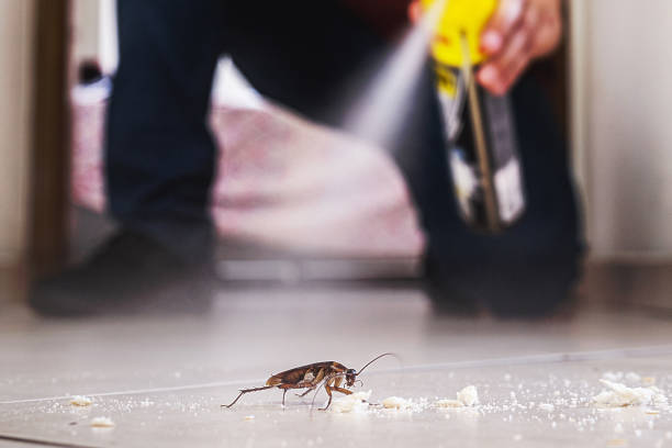 Best Bed Bug Extermination  in Tower Lakes, IL